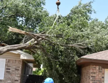 Storm Cleanup