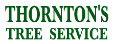 Arborist – Riley Holt - Thornton's Tree Service | Abilene, San Angelo TX