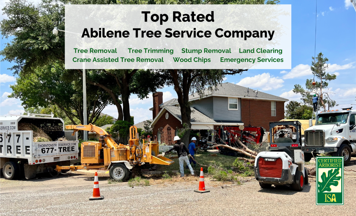 Thornton's Tree Service Abilene, San Angelo, Brownwood, Sweetwater, Weatherford