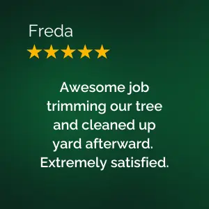 Awsome Tree Service Review