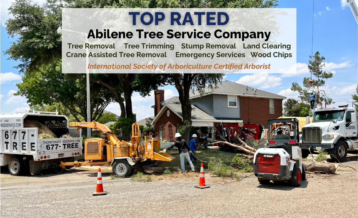 Thornton's Tree Service Abilene, Brownwood, San Angelo, Wichita Falls, Weatherford